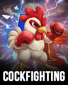 7Cockfighting