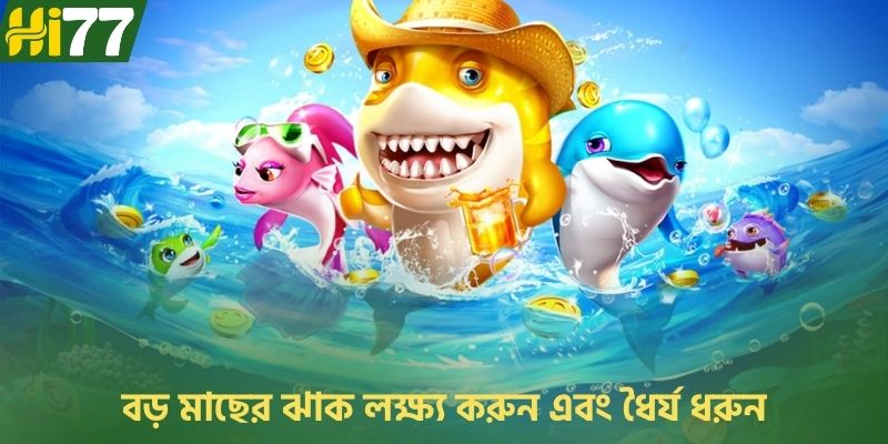 বড় মাছের ঝাক লক্ষ্য করুন এবং ধৈর্য ধরুন